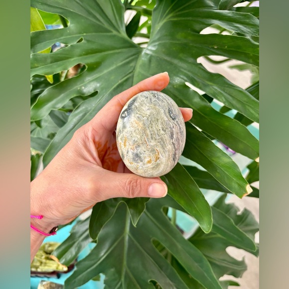 Ocean Jasper Palmstone - Picture 3 of 6